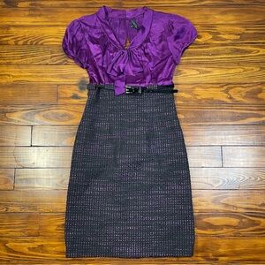 Tahari Cap Sleeve Silk Wool Belt Dress Purple Black Size 2